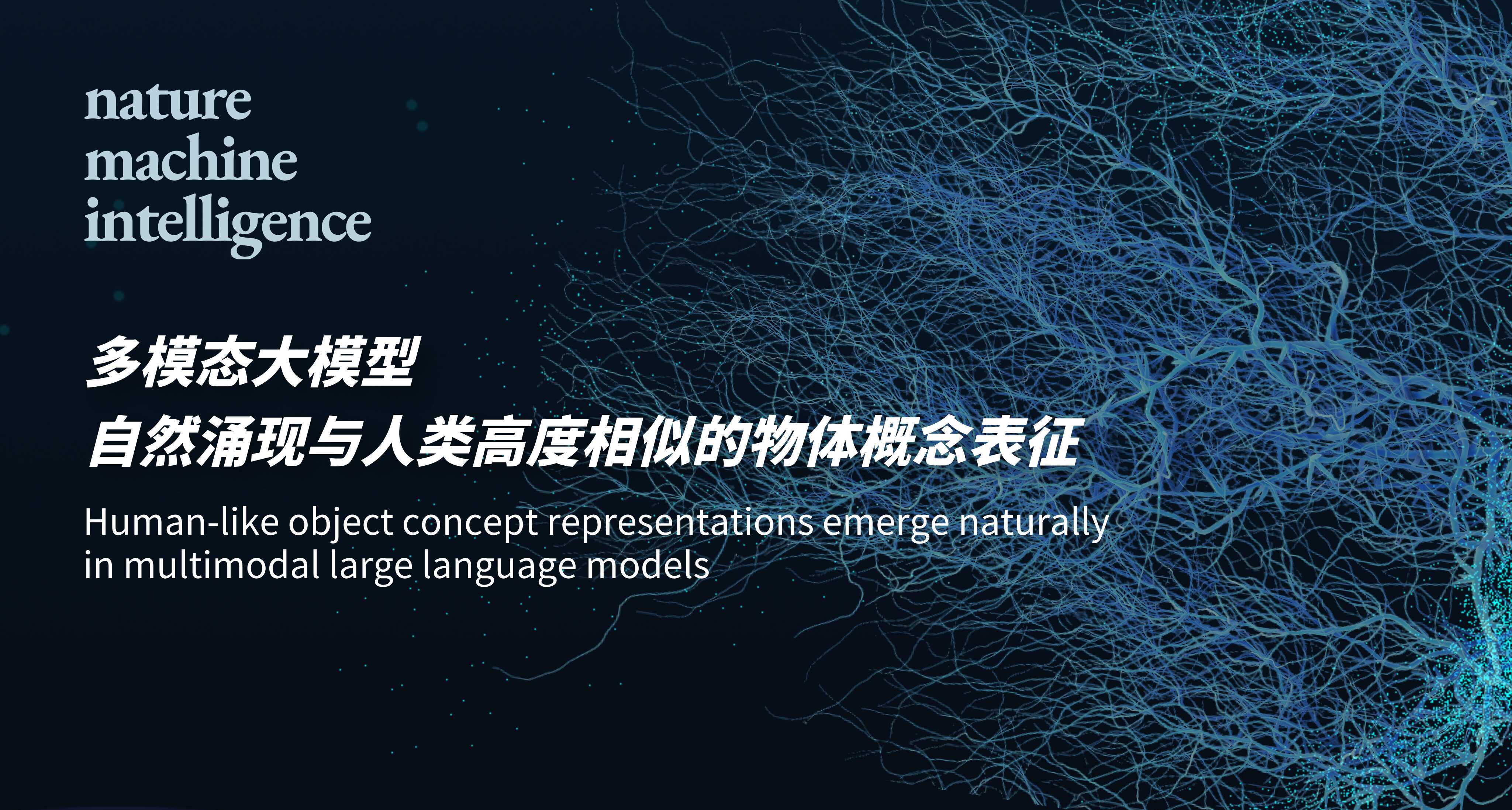 Research Reveals the Emergence of Human-Like Object Concept Representations in Multimodal Large Models