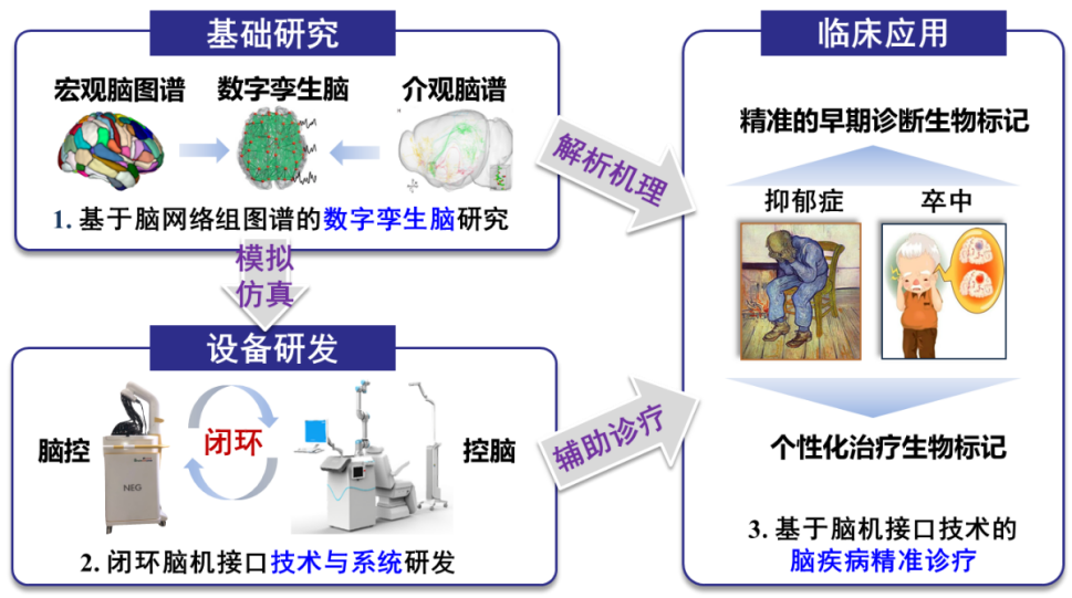 Brainnetome Research