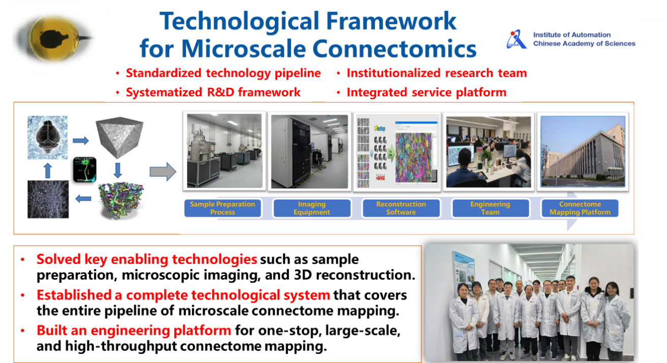 Microscale Reconstruction and Intelligent Analysis